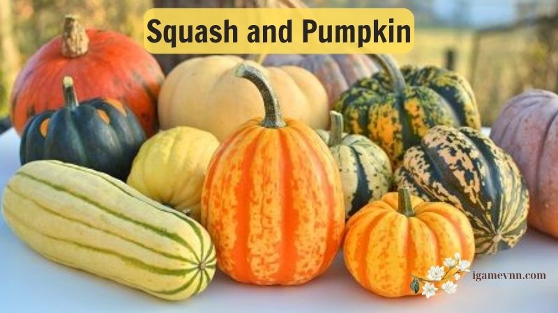 Squash and pumpkin