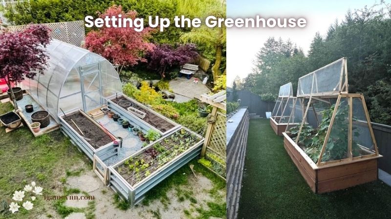 Setting Up the Greenhouse