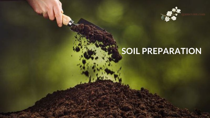 Soil Preparation