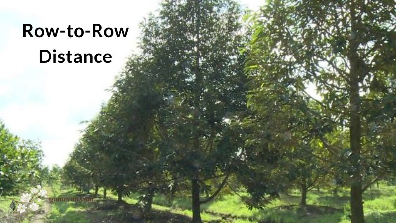 Row-to-Row Distance